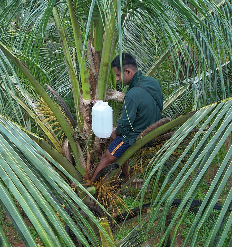 Farming